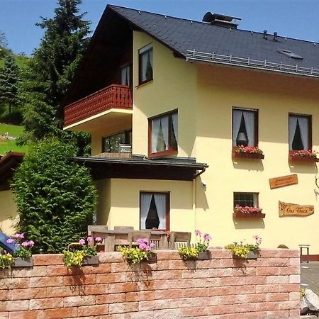 Ferienwohnung Sonnentraum - Appartement 5 Willingen Willingen  Zewnętrze zdjęcie