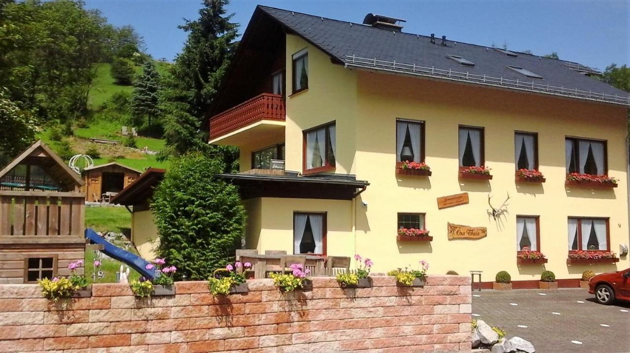 Ferienwohnung Sonnentraum - Appartement 5 Willingen Willingen  Zewnętrze zdjęcie