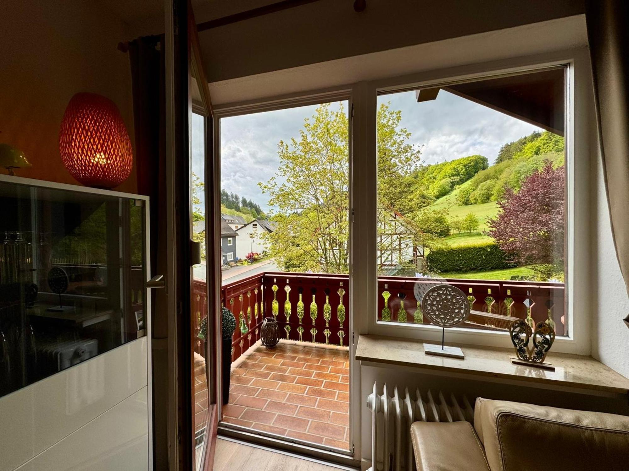 Ferienwohnung Sonnentraum - Appartement 5 Willingen Willingen  Zewnętrze zdjęcie