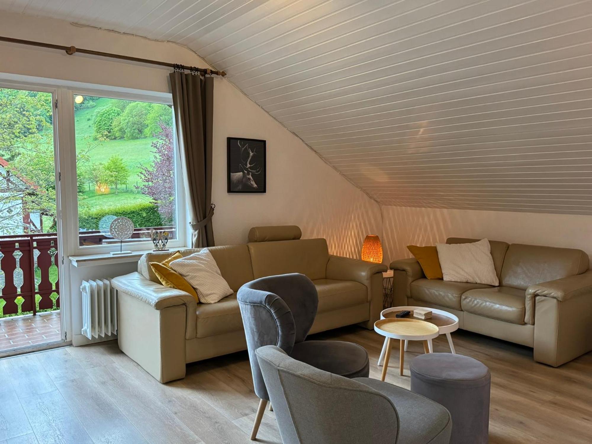 Ferienwohnung Sonnentraum - Appartement 5 Willingen Willingen  Zewnętrze zdjęcie